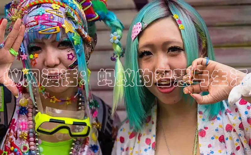 樱花动漫官网正版入口